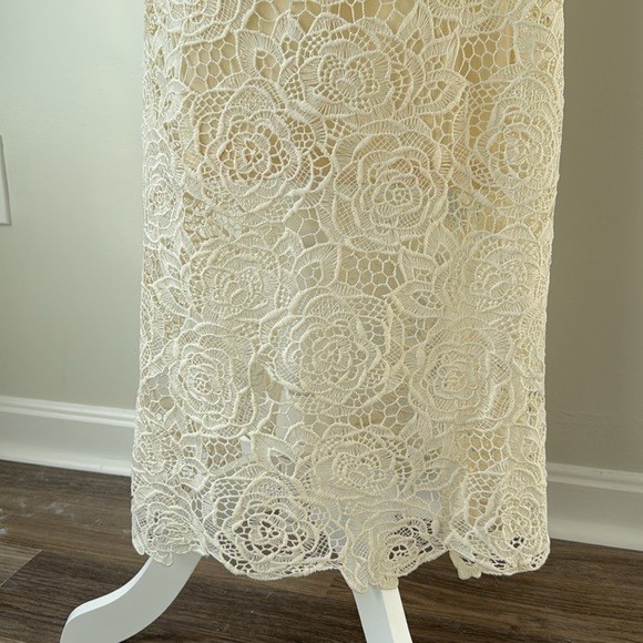 Chicwish Rose Cutwork Lace Maxi Skirt - Picture 4 of 5